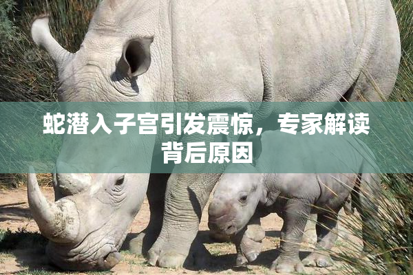 蛇潜入子宫引发震惊，专家解读背后原因