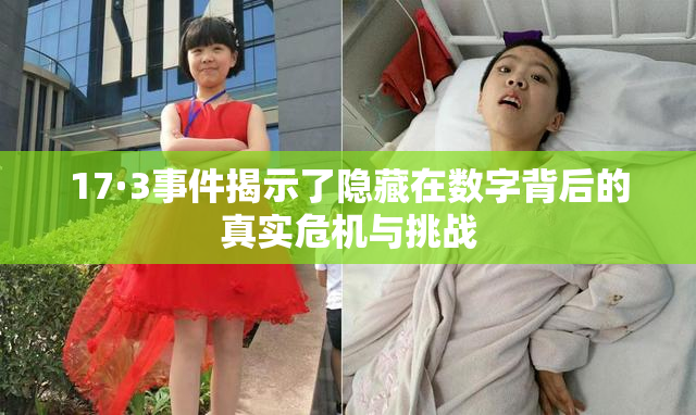 17·3事件揭示了隐藏在数字背后的真实危机与挑战