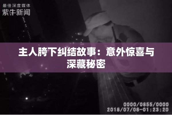 主人胯下纠结故事：意外惊喜与深藏秘密