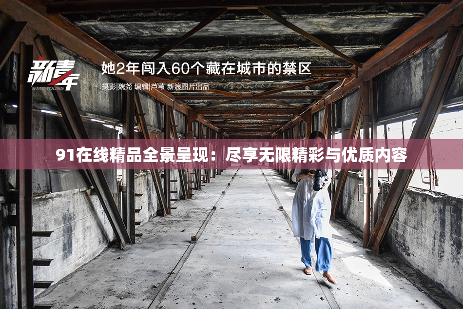 91在线精品全景呈现：尽享无限精彩与优质内容