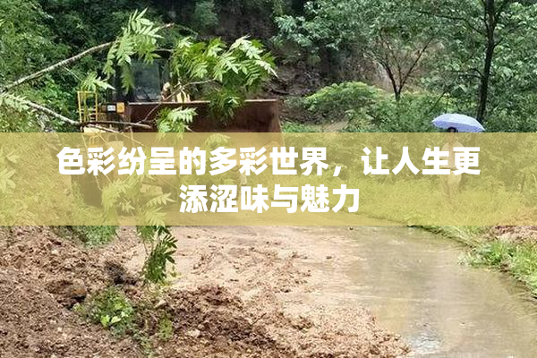 色彩纷呈的多彩世界，让人生更添涩味与魅力