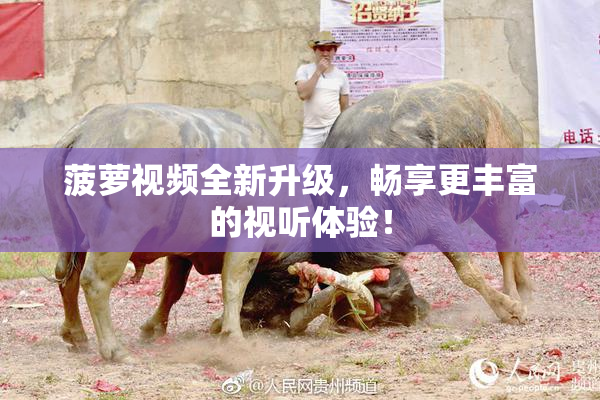 菠萝视频全新升级，畅享更丰富的视听体验！