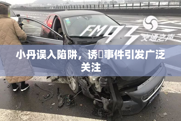小丹误入陷阱，诱奷事件引发广泛关注