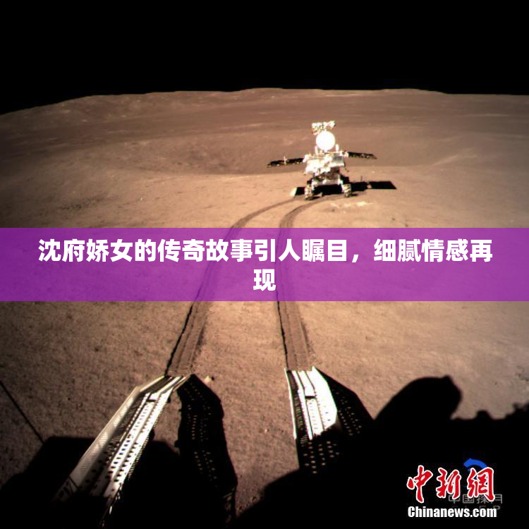 沈府娇女的传奇故事引人瞩目，细腻情感再现