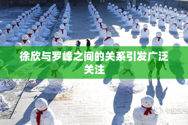 徐欣与罗峰之间的关系引发广泛关注