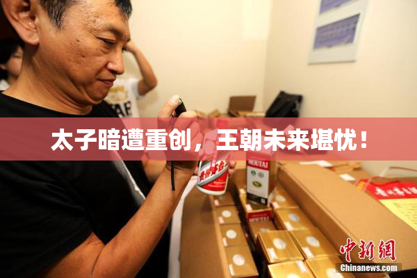 太子暗遭重创，王朝未来堪忧！