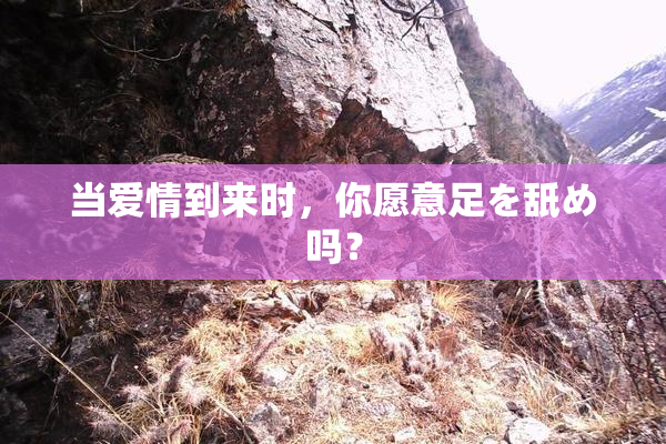 当爱情到来时，你愿意足を舐め吗？