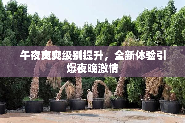 午夜爽爽级别提升，全新体验引爆夜晚激情