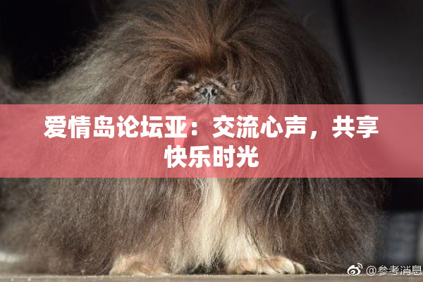 爱情岛论坛亚：交流心声，共享快乐时光