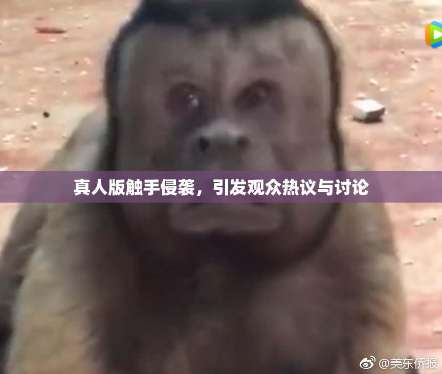 真人版触手侵袭，引发观众热议与讨论