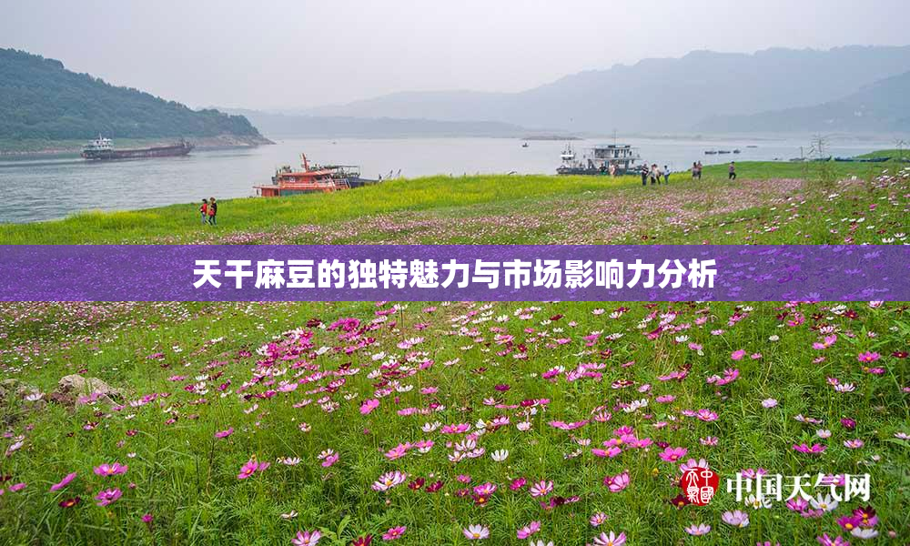 天干麻豆的独特魅力与市场影响力分析