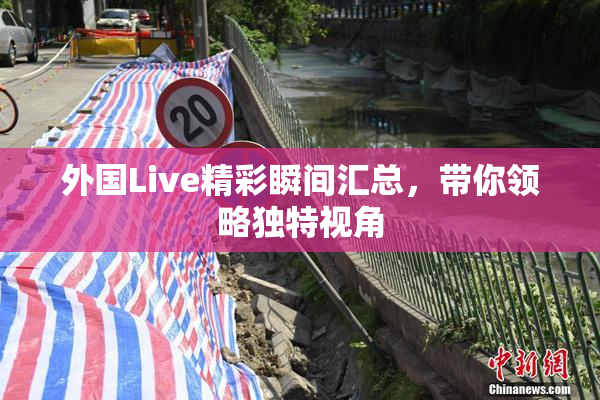 外国Live精彩瞬间汇总，带你领略独特视角
