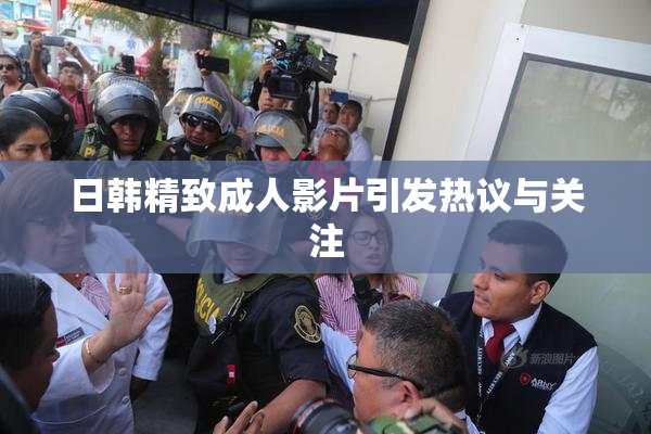 日韩精致成人影片引发热议与关注