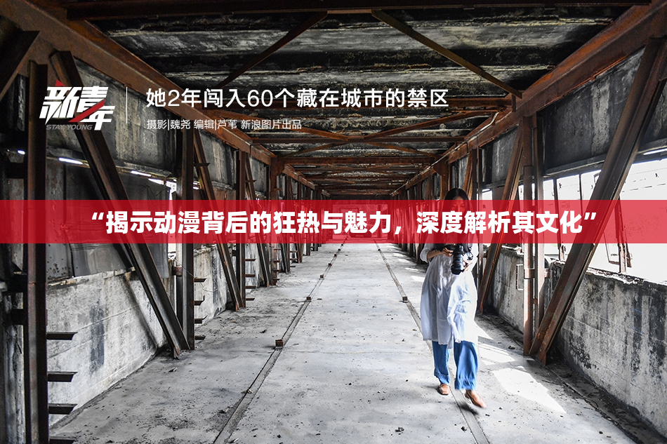 “揭示动漫背后的狂热与魅力，深度解析其文化”
