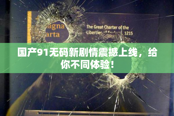 国产91无码新剧情震撼上线，给你不同体验！