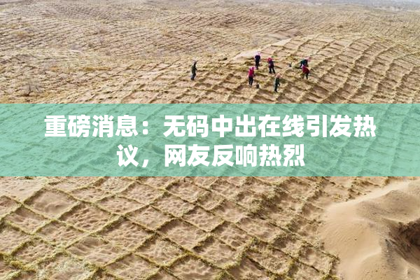 重磅消息：无码中出在线引发热议，网友反响热烈