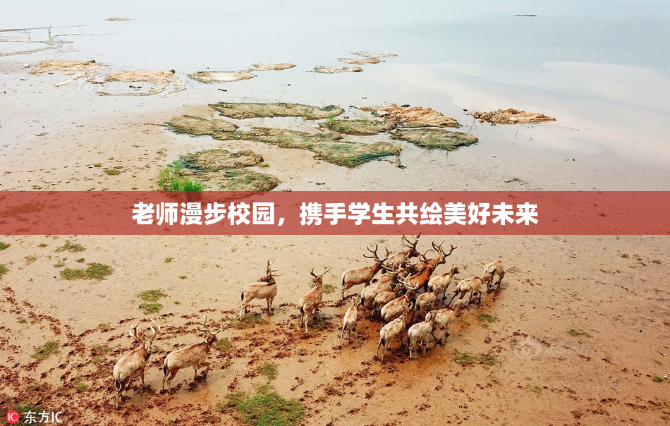 老师漫步校园，携手学生共绘美好未来