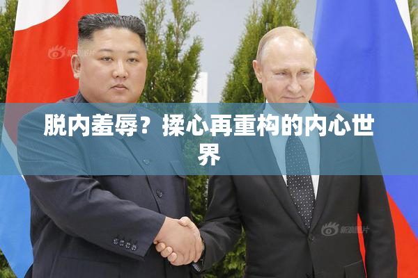 脱内羞辱？揉心再重构的内心世界