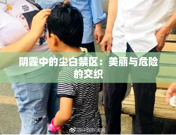 阴霾中的尘白禁区：美丽与危险的交织