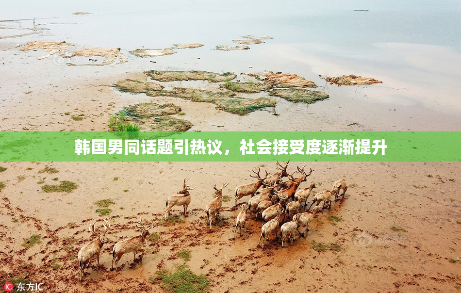 韩国男同话题引热议，社会接受度逐渐提升