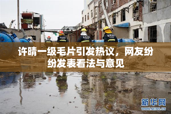 许晴一级毛片引发热议，网友纷纷发表看法与意见