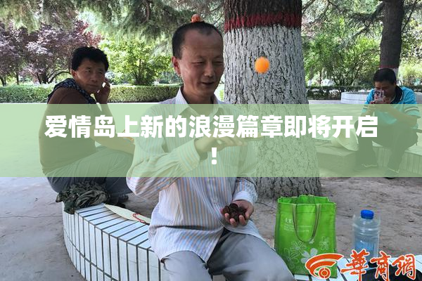 爱情岛上新的浪漫篇章即将开启！