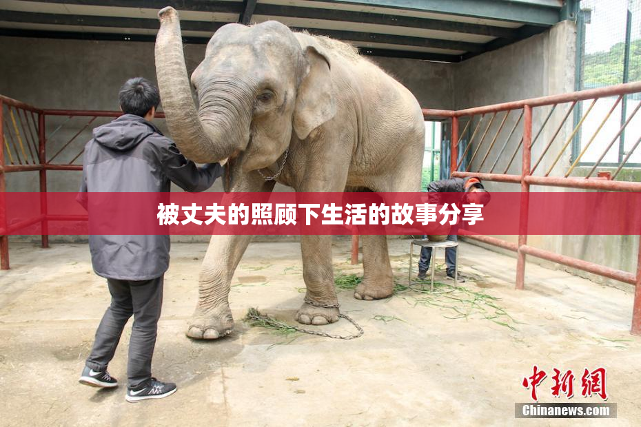 被丈夫的照顾下生活的故事分享