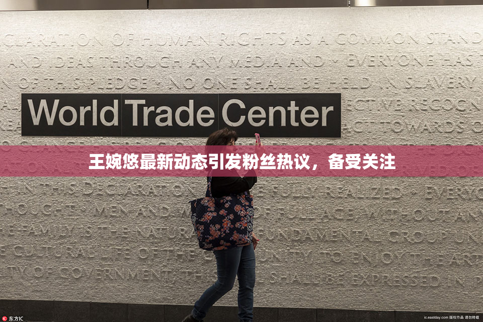 王婉悠最新动态引发粉丝热议，备受关注