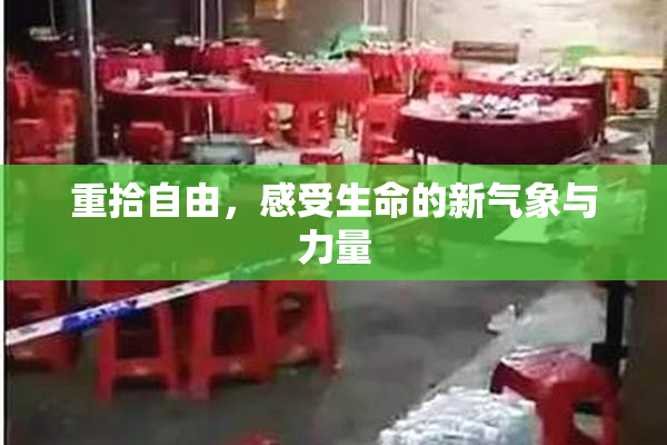 重拾自由，感受生命的新气象与力量