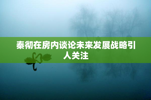 秦彻在房内谈论未来发展战略引人关注