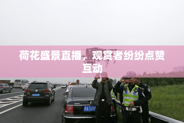 荷花盛景直播，观赏者纷纷点赞互动