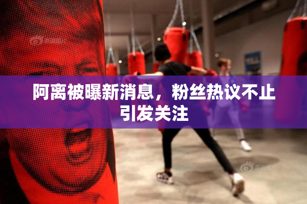 阿离被曝新消息，粉丝热议不止引发关注