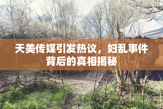 天美传媒引发热议，妇乱事件背后的真相揭秘
