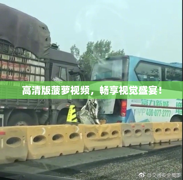 高清版菠萝视频，畅享视觉盛宴！