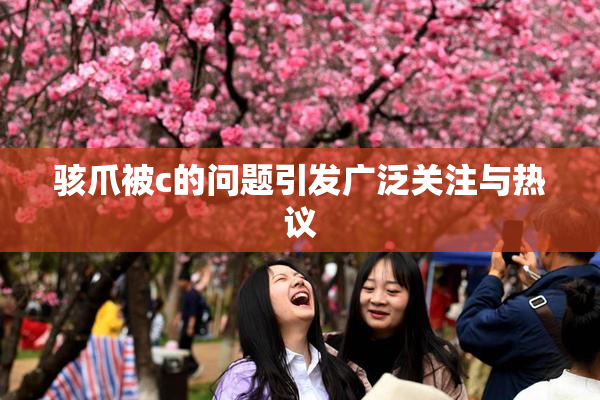 骇爪被c的问题引发广泛关注与热议