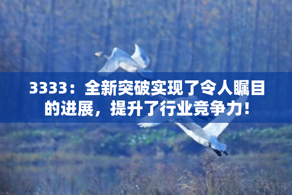 3333：全新突破实现了令人瞩目的进展，提升了行业竞争力！