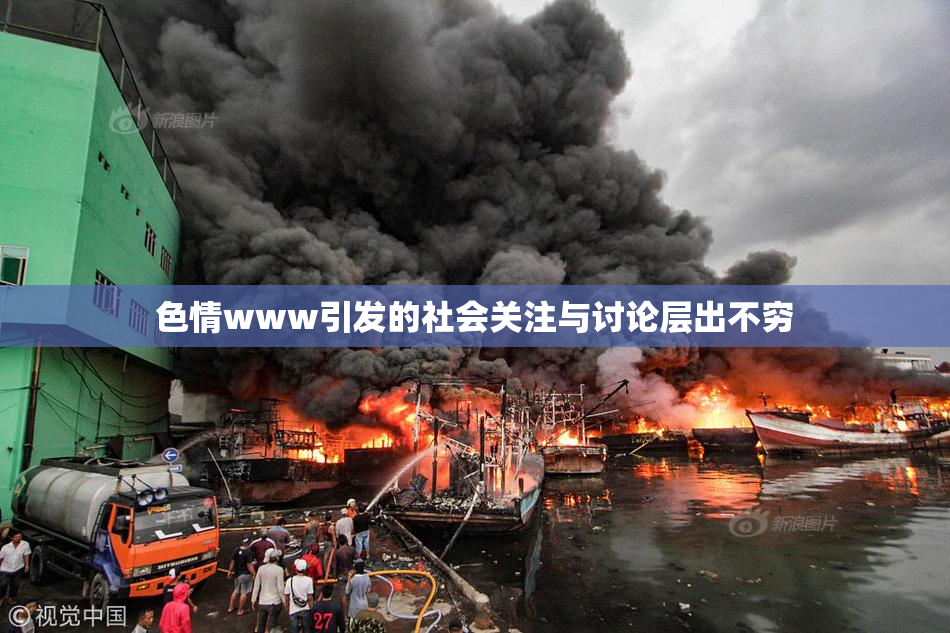 色情www引发的社会关注与讨论层出不穷