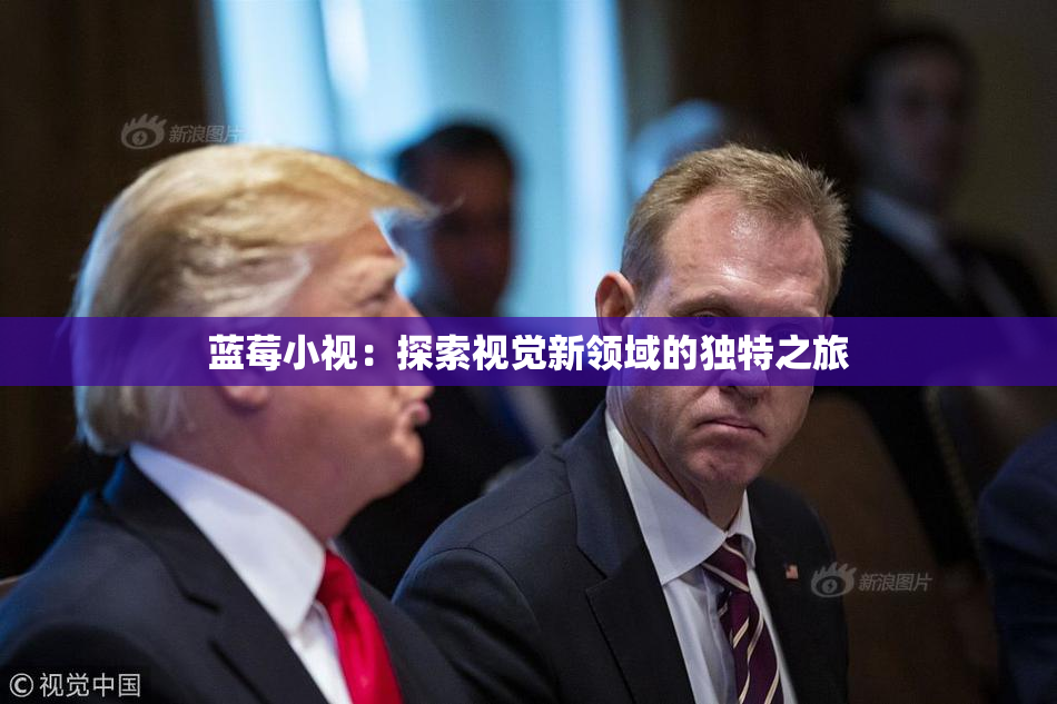 蓝莓小视：探索视觉新领域的独特之旅