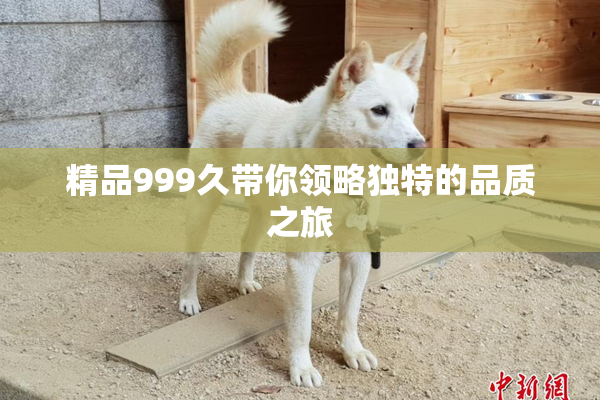 精品999久带你领略独特的品质之旅