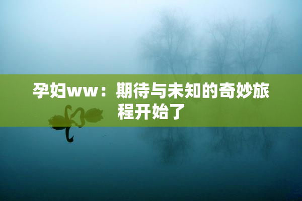 孕妇ww：期待与未知的奇妙旅程开始了