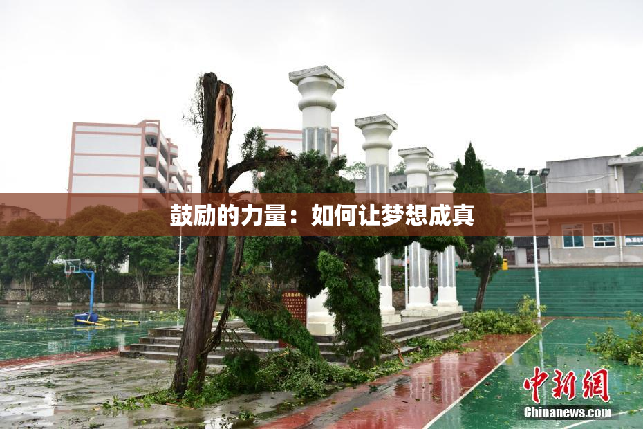 鼓励的力量：如何让梦想成真