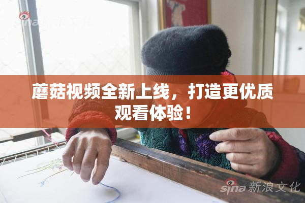蘑菇视频全新上线，打造更优质观看体验！