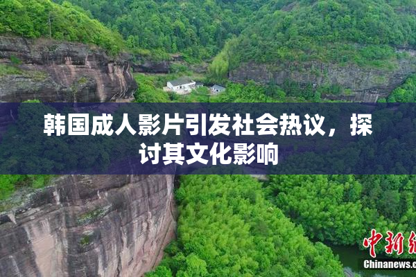 韩国成人影片引发社会热议，探讨其文化影响