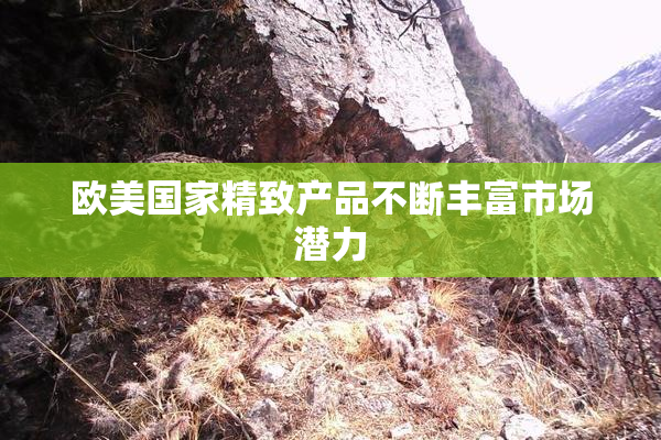 欧美国家精致产品不断丰富市场潜力