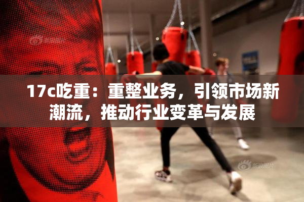 17c吃重：重整业务，引领市场新潮流，推动行业变革与发展