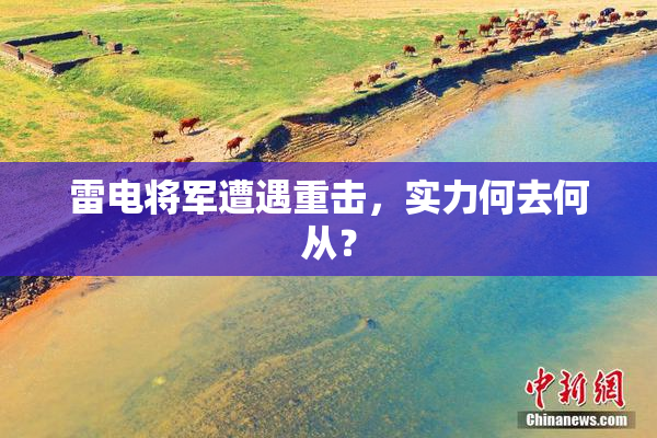 雷电将军遭遇重击，实力何去何从？