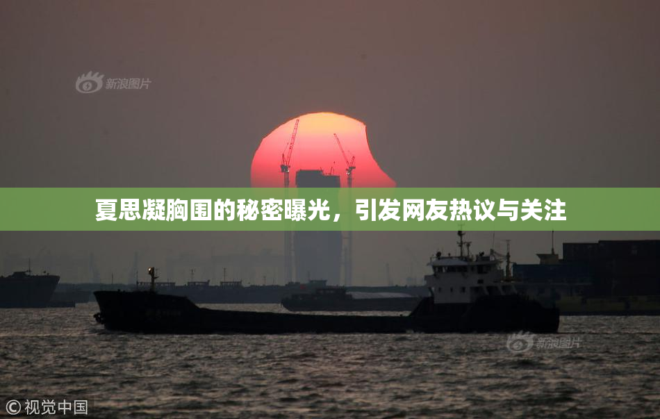 夏思凝胸围的秘密曝光，引发网友热议与关注