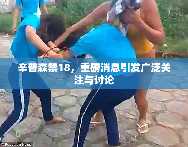 辛普森禁18，重磅消息引发广泛关注与讨论