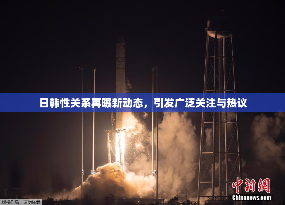 日韩性关系再曝新动态，引发广泛关注与热议