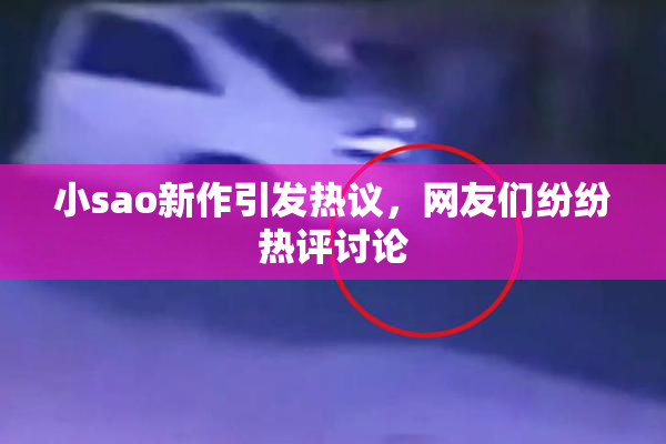 小sao新作引发热议，网友们纷纷热评讨论
